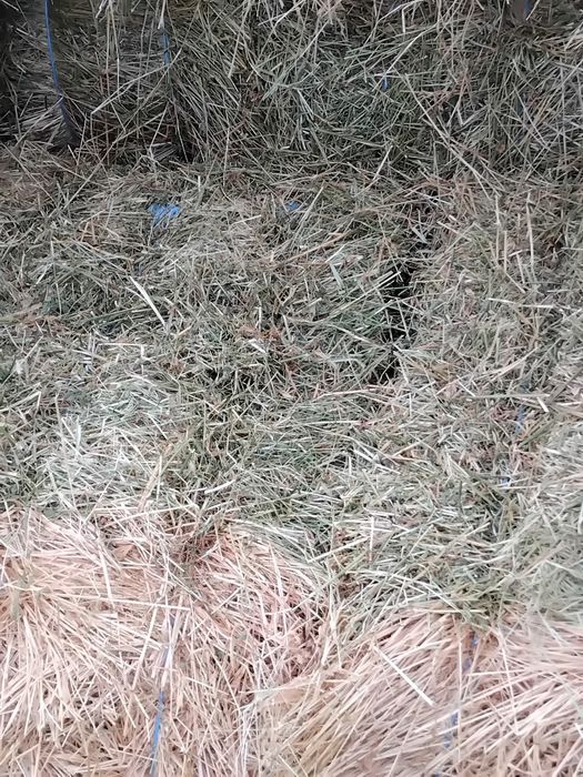 Baloți fan cu lucernă