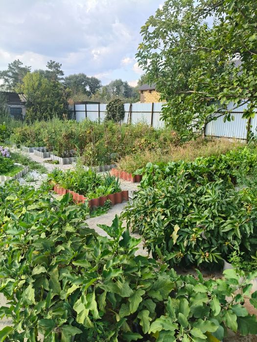 Срочно продам дачу на солнечной летний вариант