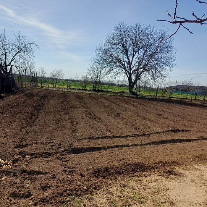 Vand teren casa jud Arad com Felnac