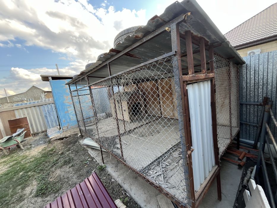 Валлер.Продам валлер для собаки.