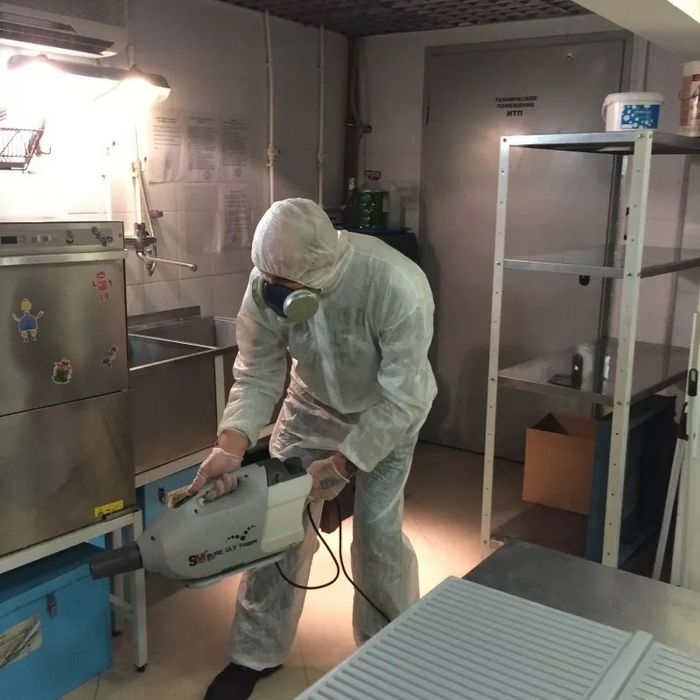 Дезинфекция дезинсекция дератизация dezinfeksiya dizenfeksiya