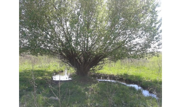 Продам участок 10 Га