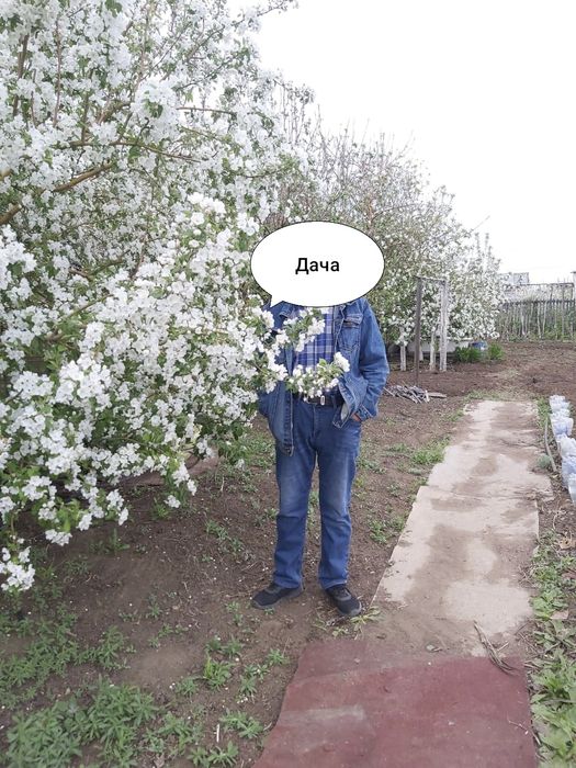 Дача, общество "Союз"