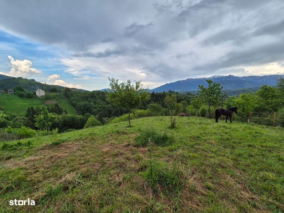 Pestera, satul de poveste din Brasov, 3456 mp teren
