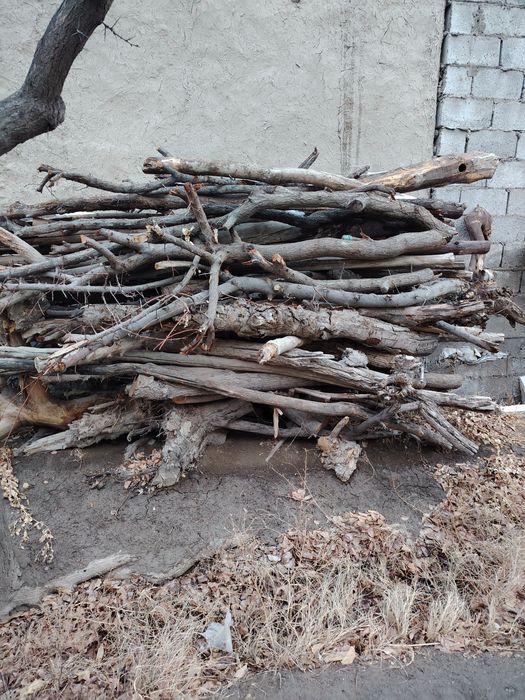 Утинлар сотилади