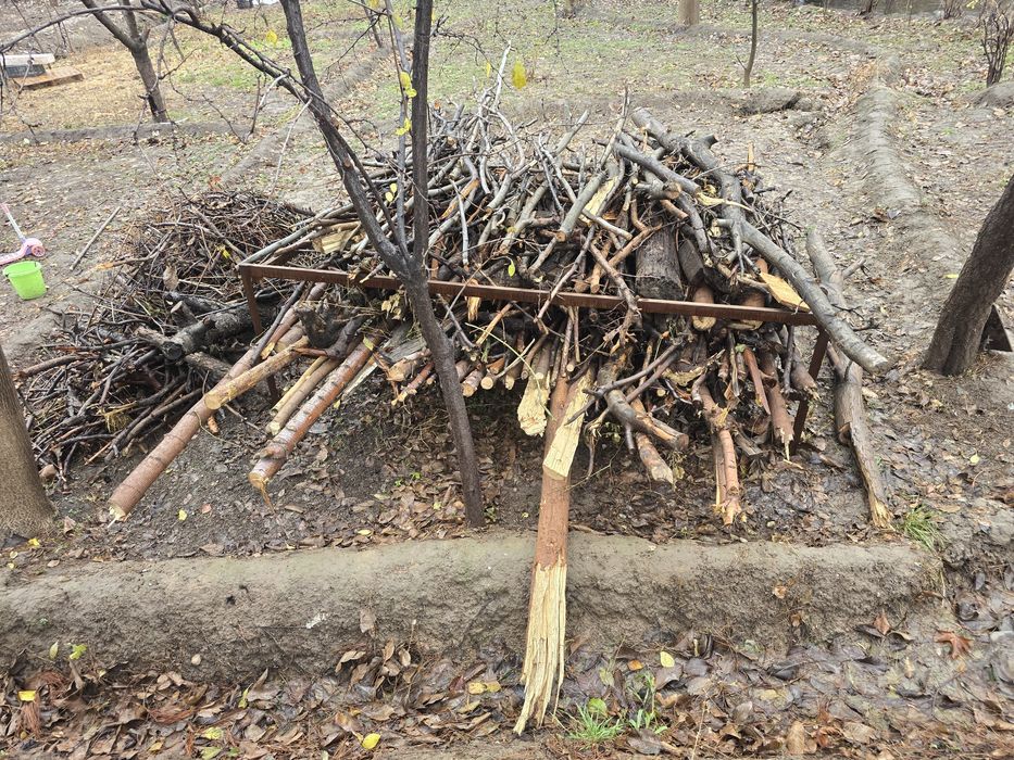 Утин Отин один Дрова дров ytin otin odin drova  Чирчик