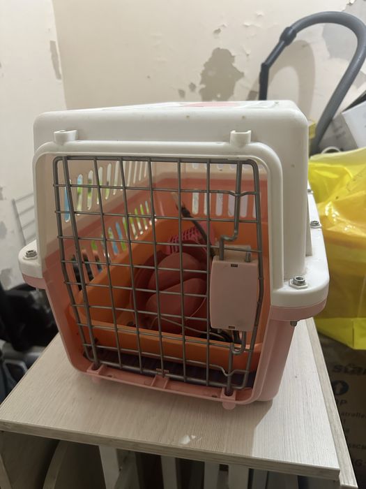 Переноска для кошки