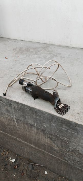 MCY-200 машинка для овца