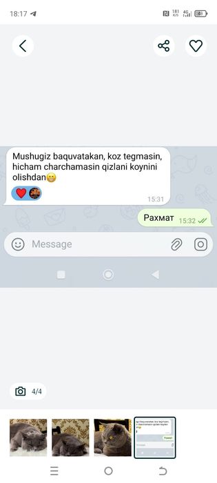 ВЯЗКА !Привозной Клубный Кот