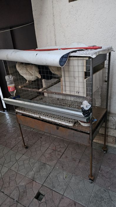 Tovuq qafas gildirakli. Buyurtmaga ham yasab beramiz