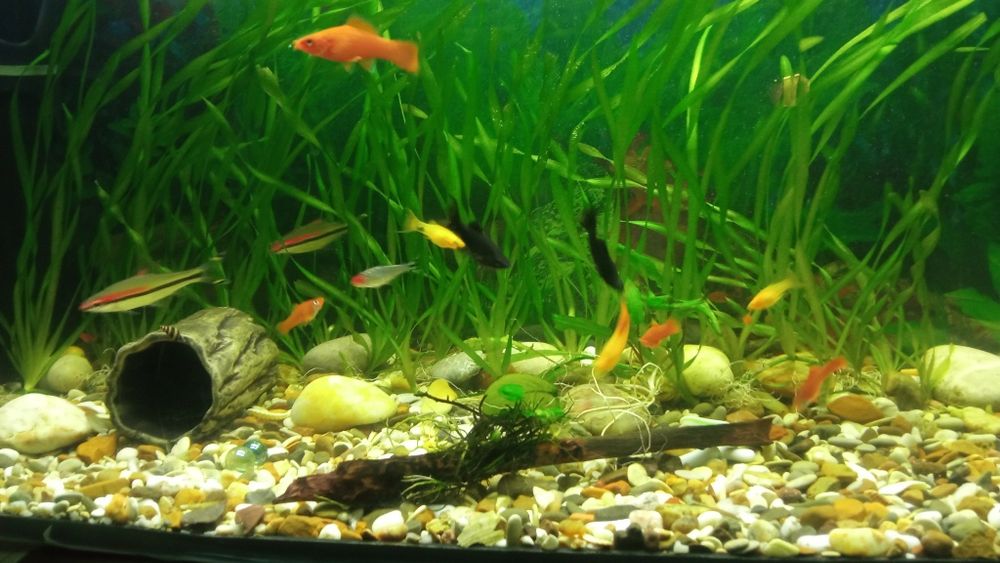 Продам аквариум 105 литров