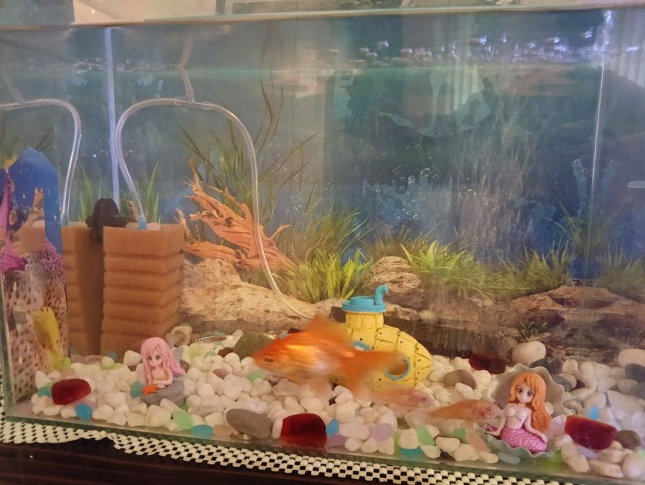 Аквариум 25 литра Действащ