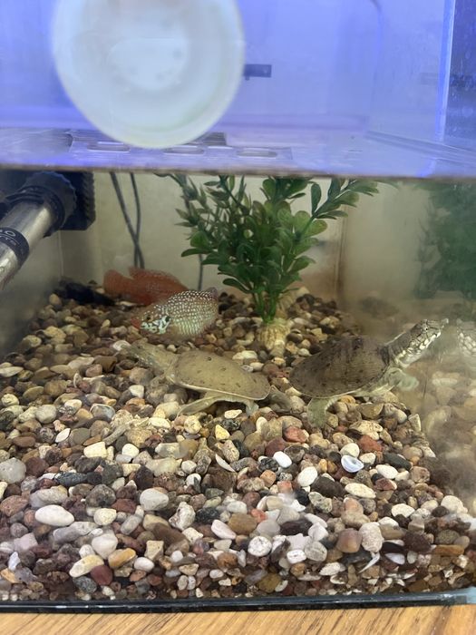 Продам аквариум