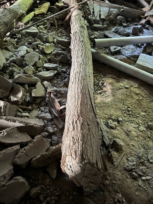 Тўсинлар сотилади