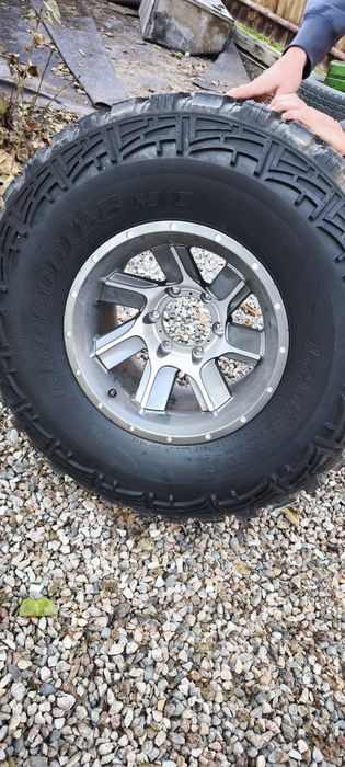 Резина Lakesia crocodile