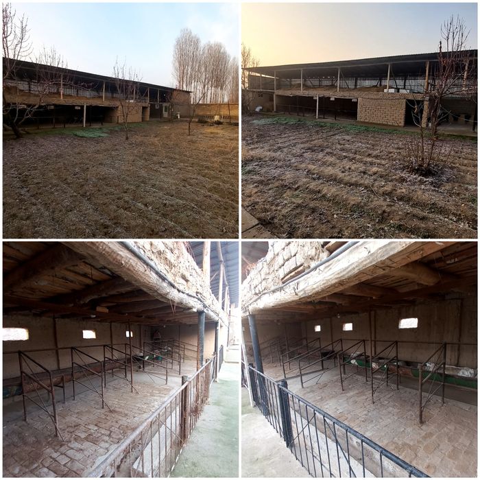 Янгиюл 10 соток 5 комнат