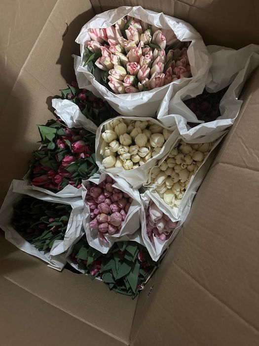 Тюльпаны Темиртау