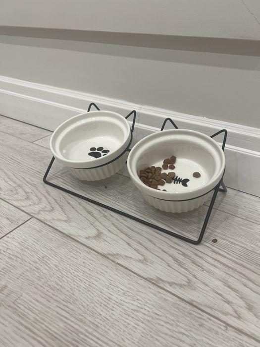 Отдам котёнка (девочку), чёрного окраса.