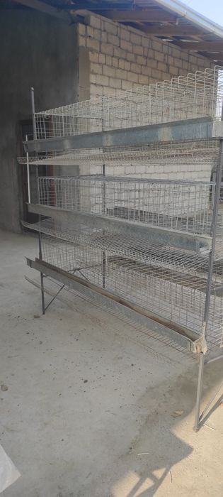 Клети для кур несушек