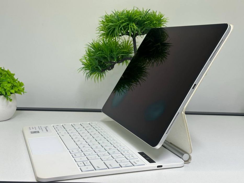 iPad Pro / 256gb / Akb: 81% /