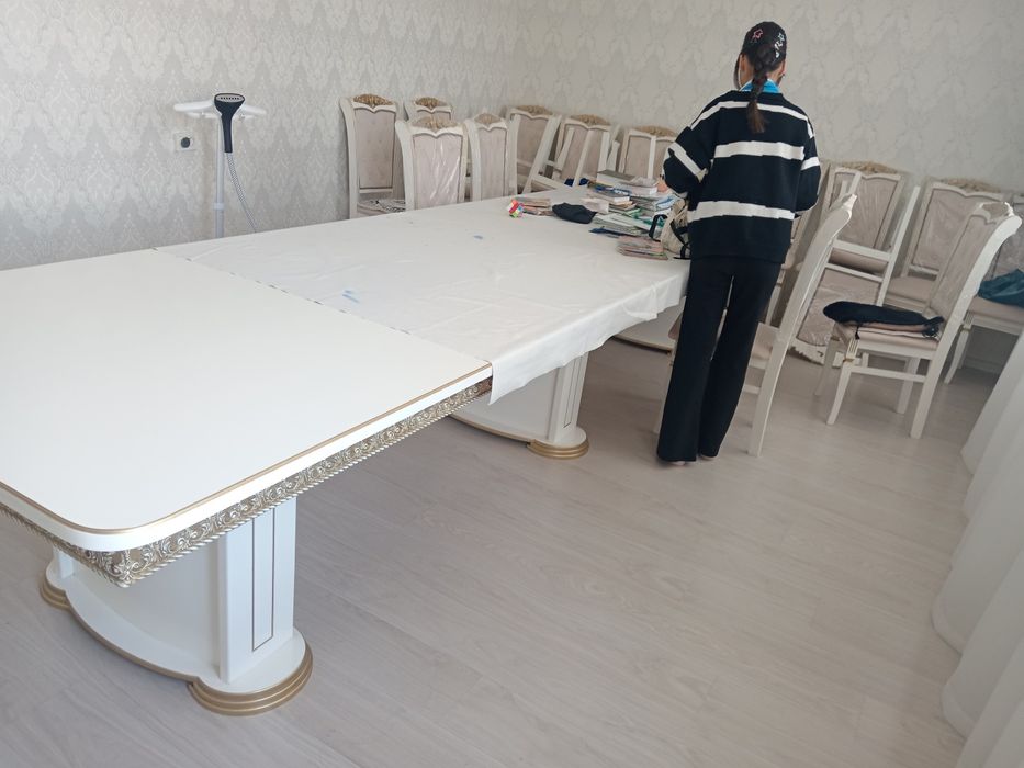 Стол, 24 стулья.