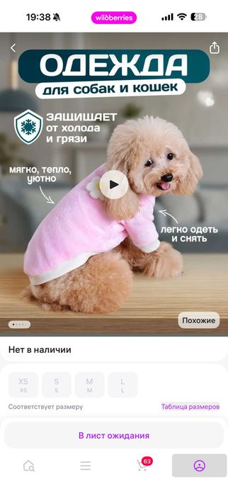Одежда для собак