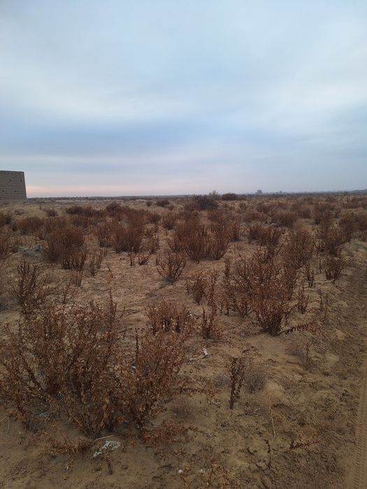 Ер участка 6 соток сотилади