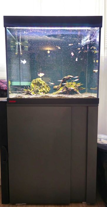 Аквариум с поставка / шкаф EHEIM Vivaline 150 + цялостно оборудване