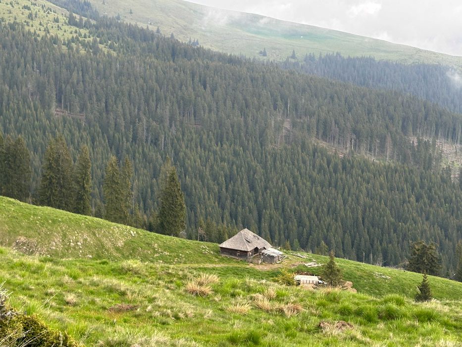 101 HA de Pasune alpina de vanzare cu izvoare de apa minerala in jud. Arges - Vedere 2
