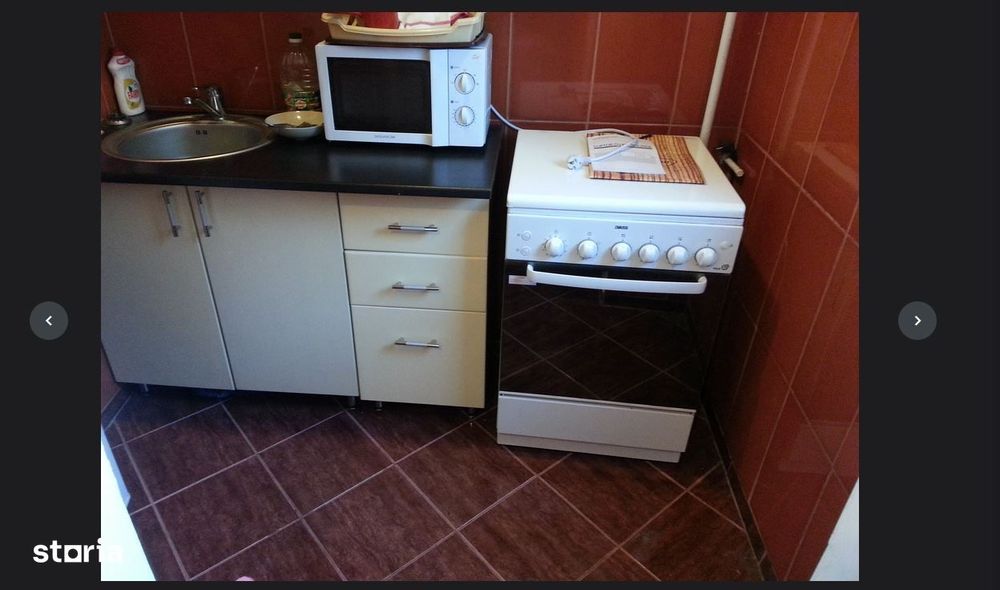 garsoniera colentina teiul domnei