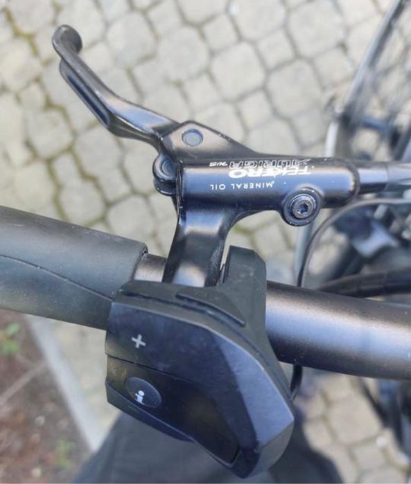 Bicicleta Pegasus electrica