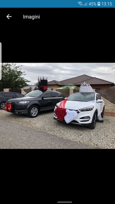 Decoratiuni/Ornamente masini nunta mire&mireasa Joben/Coronita masina