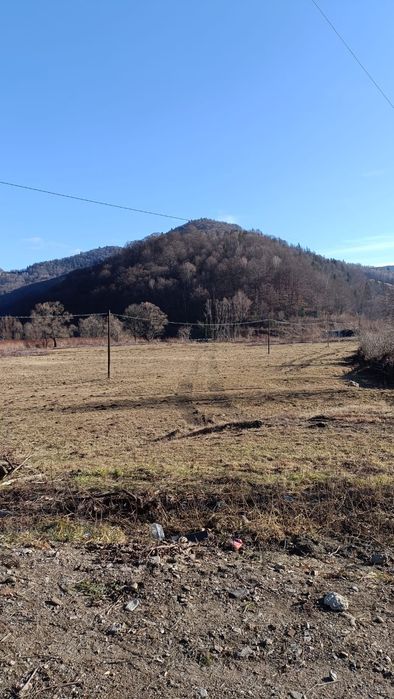 Teren sat Bradu com.Grinties Jud. Neamt