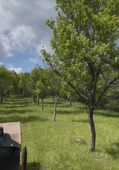 Teren extravilan de vanzare