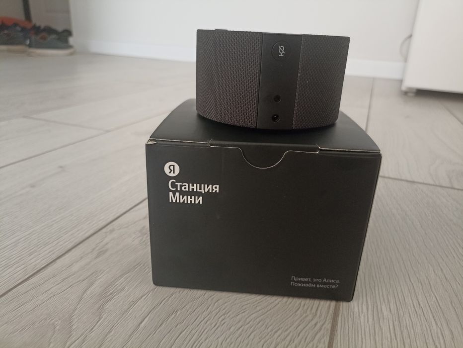 Алиса  бағасы 43000