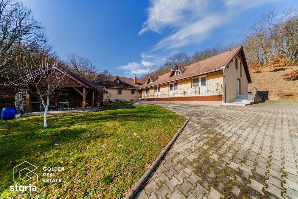 Proprietate pretabila pentru afacere, Cladova
