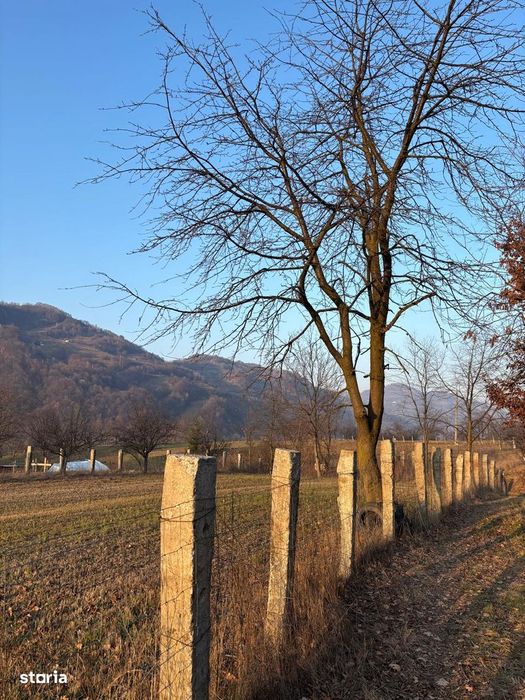 Teren intravilan de vânzare, 3111mp, acces asfaltat