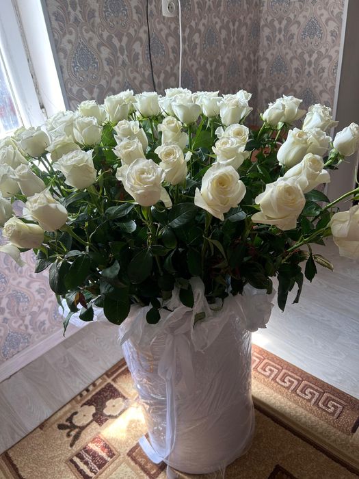 Букеты бүгін келген