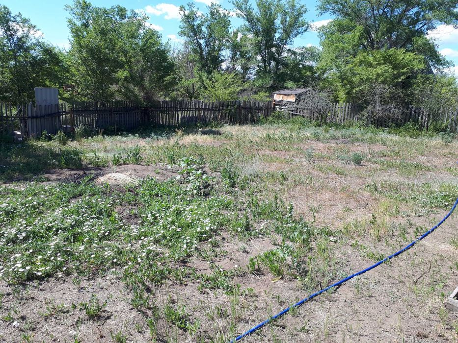 Продам дачу. сад Яблонька