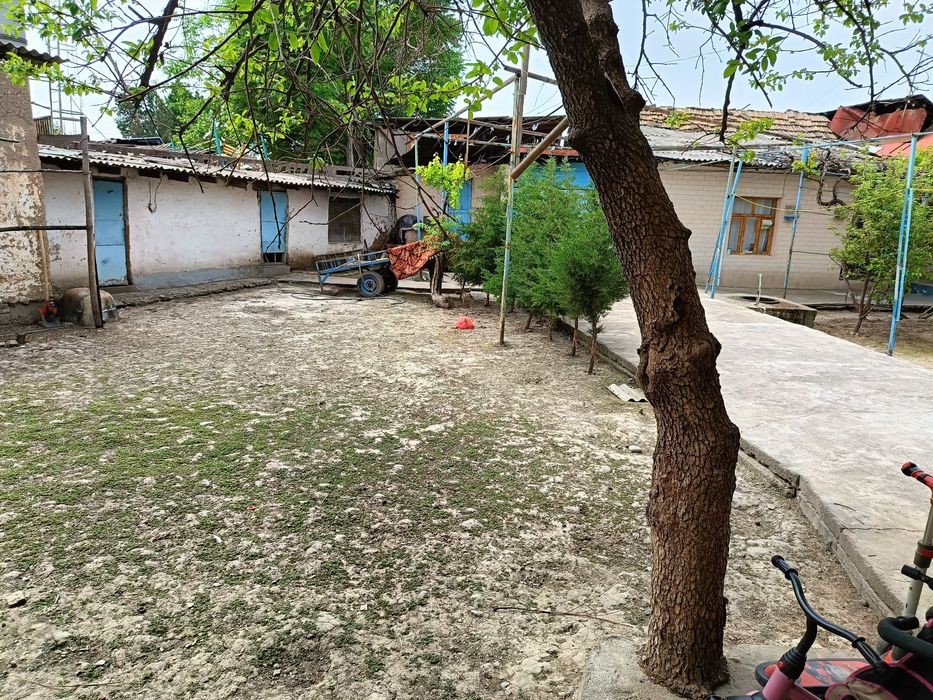 Ховли сотилади   .8сотих узимники маклер эмас. Корасу 6 .