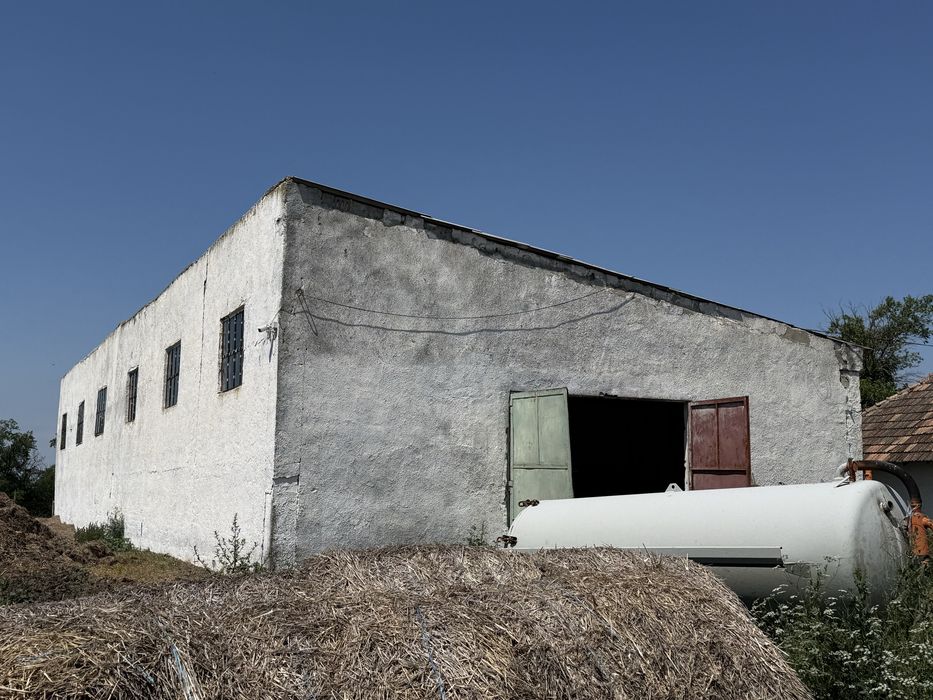 Ferma de vanzare