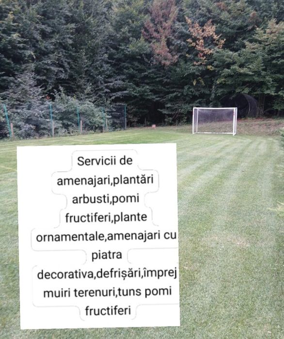 Ofer servicii amenajări și întreținere spatii verzi