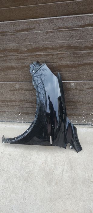 Aripa stângă fata kadjar