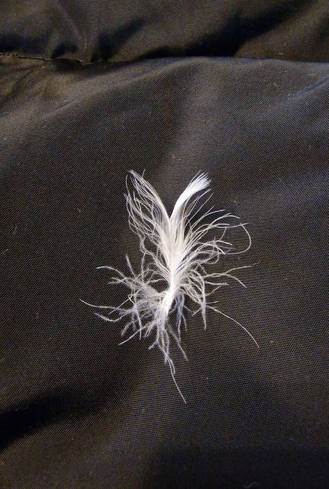 Geaca Zara gluga  blana  110/116