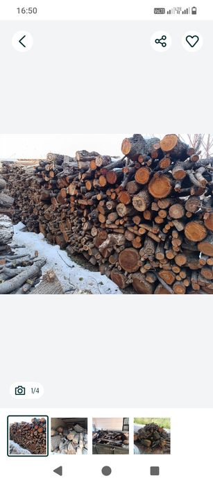 Daraxt kesamiz va abreska qilamiz. Kelishligan holda otini olib ketish