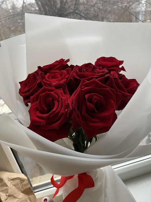 Цветы розы.