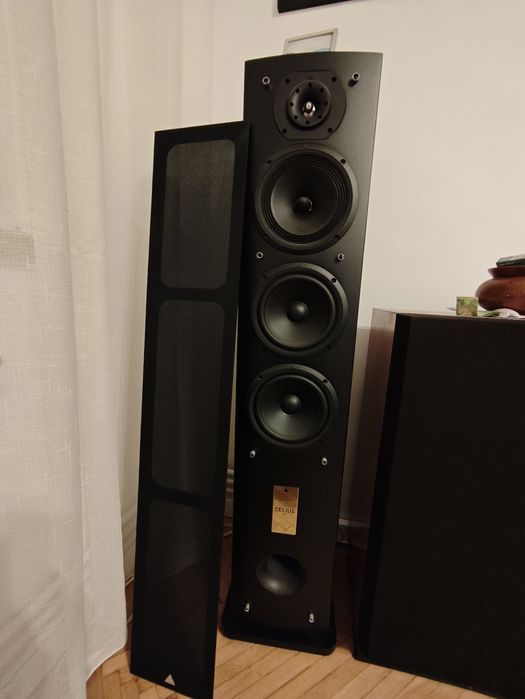 Boxe Triangle Celius 902 ca noi