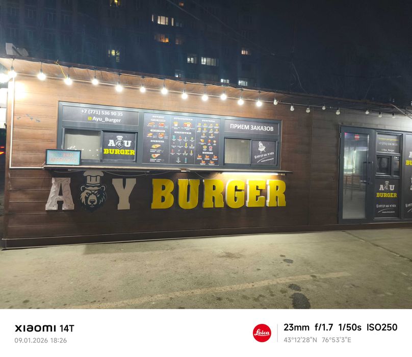 Ayu Burger бургеры на углях