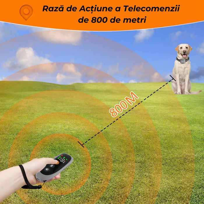 Zgarda pentru Dresaj Caini cu Telecomanda