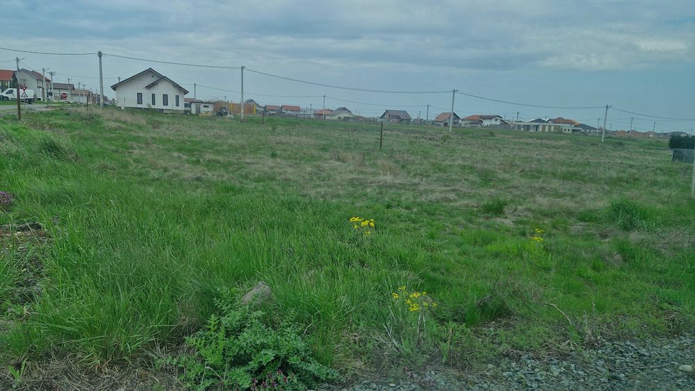Loc de casa 400mp Fântânele jud arad ( negociabil)